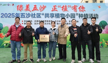 铁盘算盘网